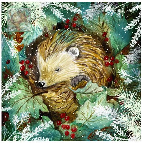 SLEEPY HEDGEHOG CHRISTMAS CARDS 