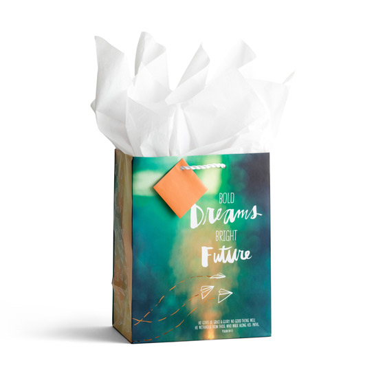 BOLD DREAMS GIFT BAG