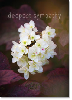 DEEPEST SYMPATHY CARD 