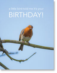 LITTLE BIRD BIRTHDAY PETITE CARD