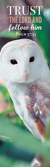 LEONARD SMITH BOOKMARK BARN OWL