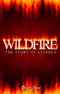 WILDFIRE CD