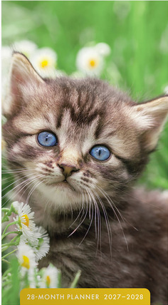 KITTEN 28 MONTH PLANNER 2027-2028