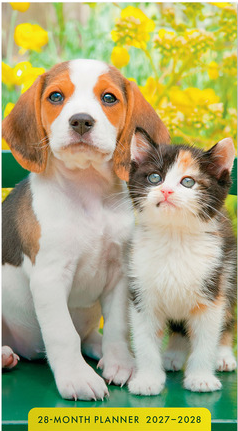 WHISKERS AND PAWS 28 MONTH PLANNER 2027-2028