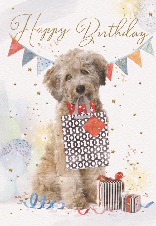 DOG HAPPY BIRTHDAY CARD