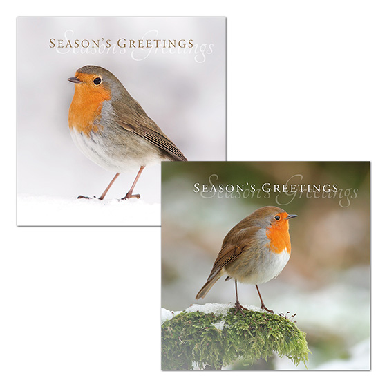 ROBINS CHRISTMAS CARDS PACK