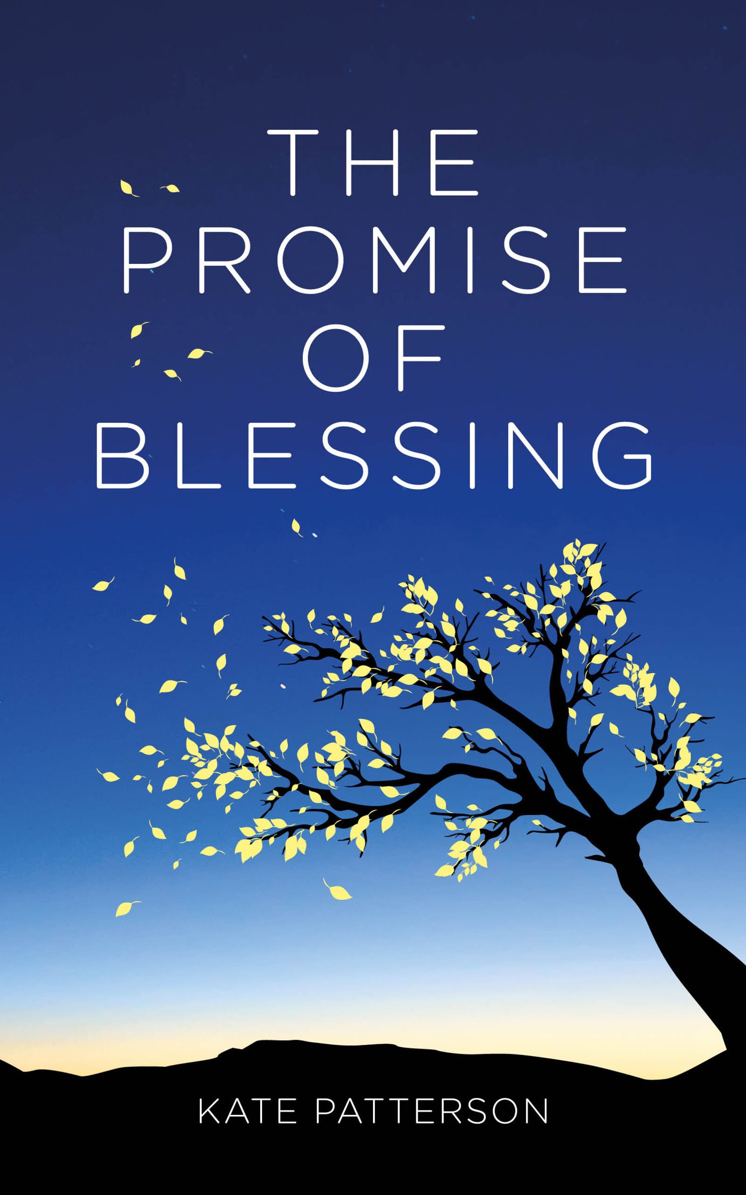 THE PROMISE OF BLESSING