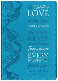 THE STEADFAST LOVE JOURNAL