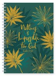 NOTHING IS IMPOSSIBLE JOURNAL