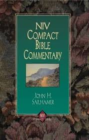 NIV COMPACT BIBLE COMMENTARY