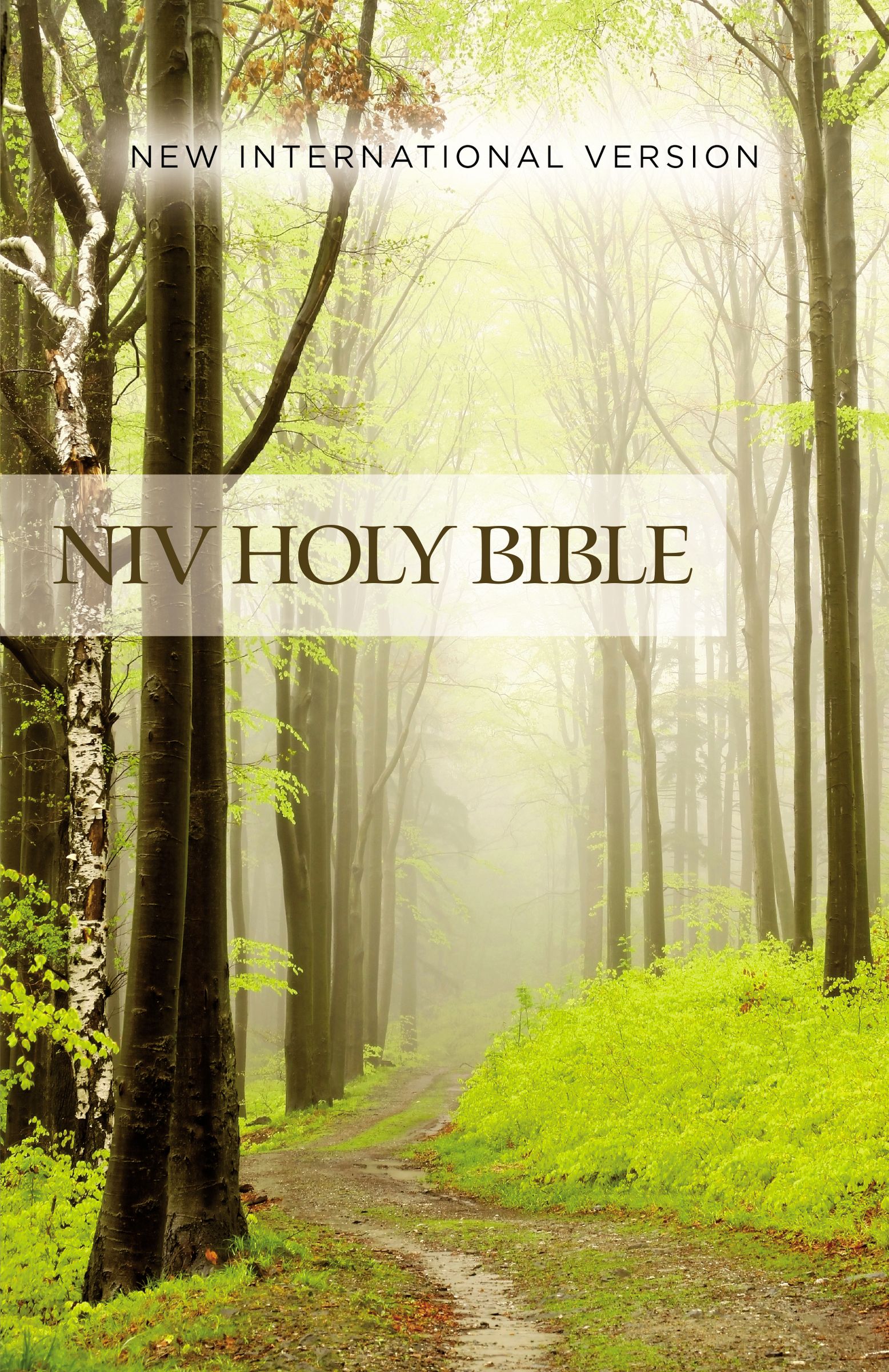 NIV OUTREACH BIBLE