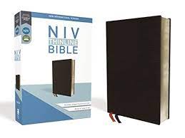 NIV THINLINE BIBLE