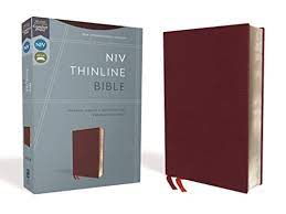 NIV THINLINE BIBLE