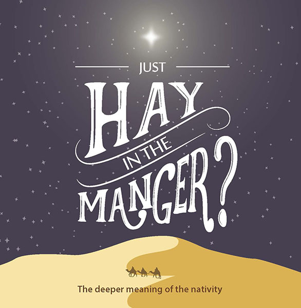 JUST HAY IN THE MANGER