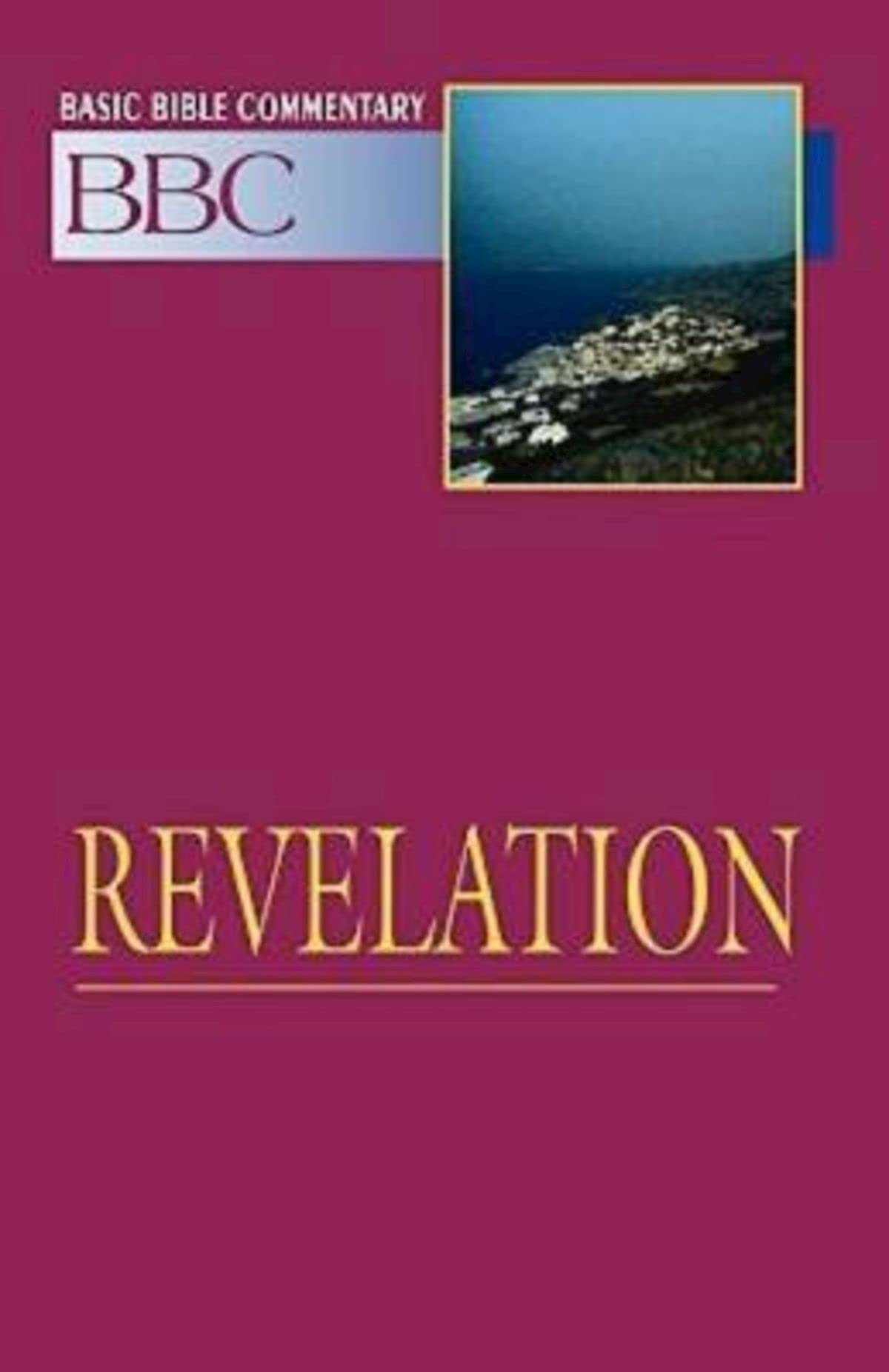 REVELATION VOLUME 29