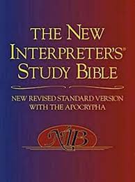 NRSV NEW INTERPRETERS STUDY BIBLE HB