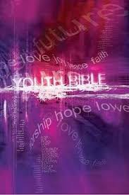 NCV YOUTH BIBLE PURPLE HB