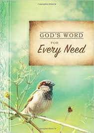 GODS WORD FOR EVERY NEED