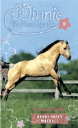 BUCKSKIN BANDIT