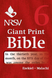 NRSV GIANT PRINT BIBLE VOLUME SIX NRSV GIANT PRINT BIBLE VOLUME SIX