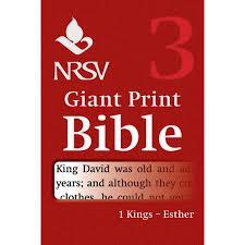 NRSV GIANT PRINT BIBLE VOLUME 3