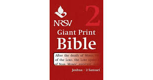 NRSV GIANT PRINT BIBLE VOLUME 2 