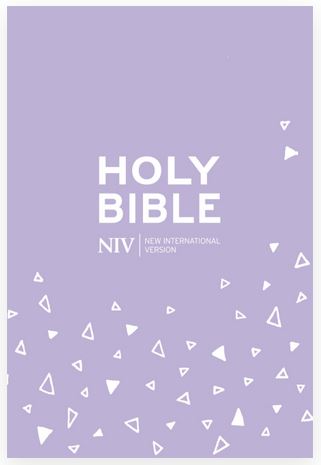 NIV POCKET BIBLE WITH ZIP