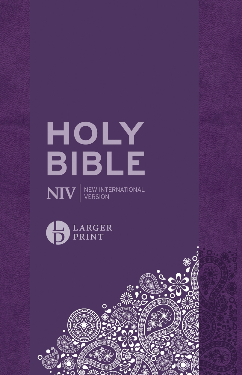 NIV HOLY BIBLE LARGER PRINT