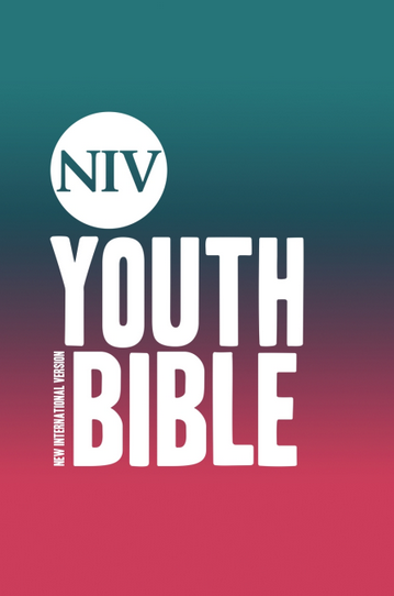 NIV YOUTH BIBLE