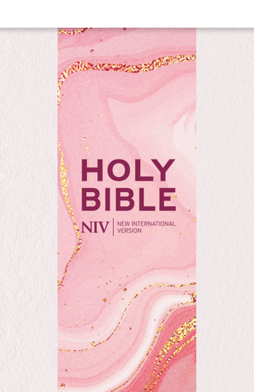NIV LARGER PRINT PERSONAL SIZE BIBLE WITH ZIP