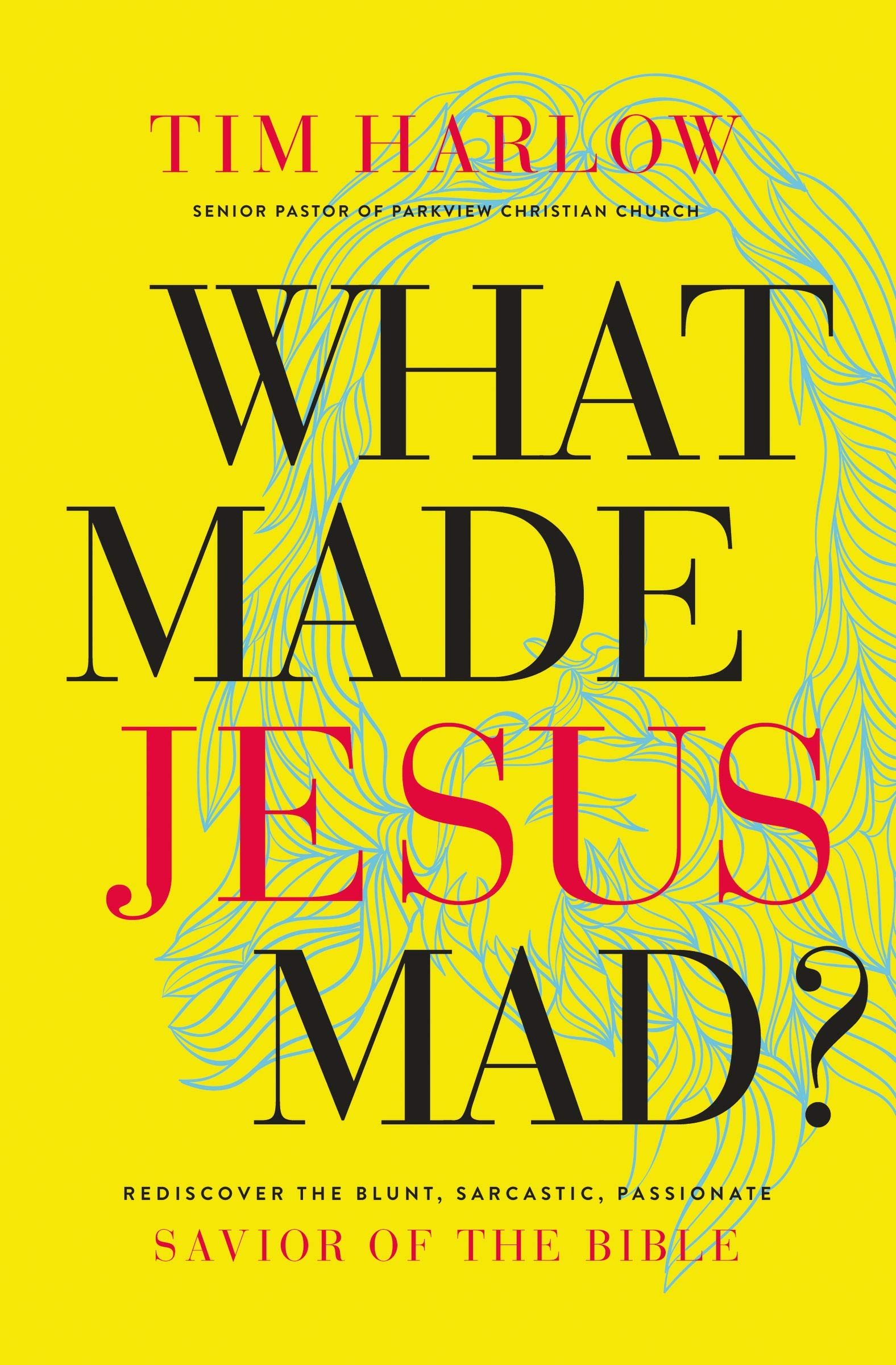 WHAT MADE JESUS MAD?