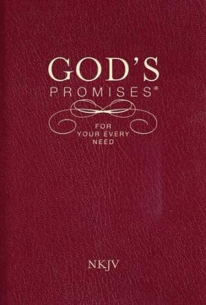 NKJV GODS PROMISES FOR YOUR EVERY NEED