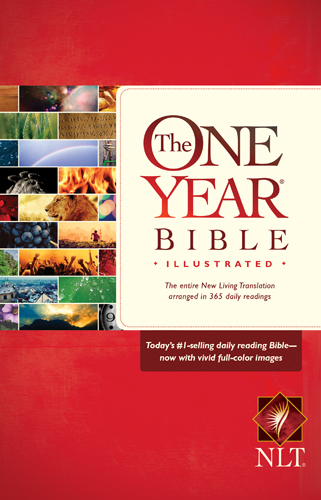 NLT ONE YEAR BIBLE ILLUSTRATED HB