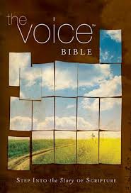 THE VOICE BIBLE