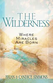 THE WILDERNESS