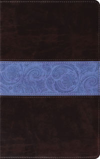 ESV THINLINE BIBLE PAISLEY