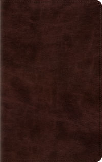 ESV THINLINE BIBLE