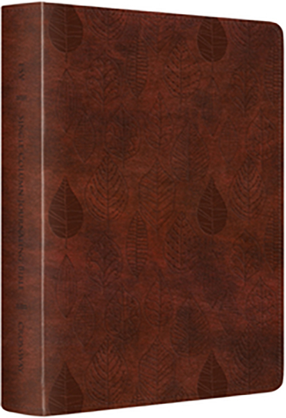 ESV JOURNALING BIBLE