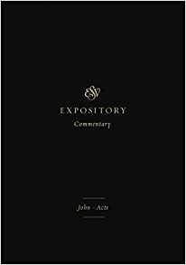 EXPOSITORY COMMENTARY: JOHN-ACTS