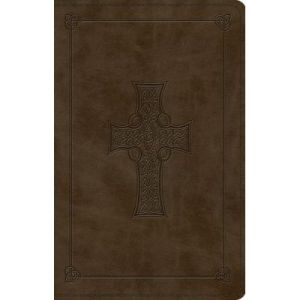 ESV LARGE PRINT VALUE THINLINE BIBLE