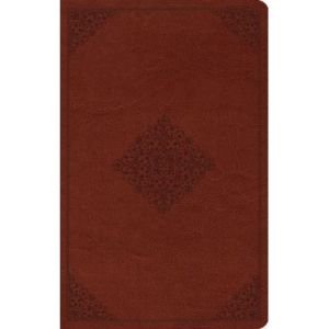 ESV LARGE PRINT VALUE THINLINE BIBLE