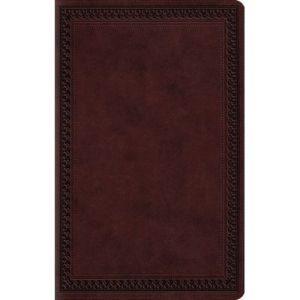 ESV LARGE PRINT VALUE THINLINE BIBLE