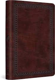 ESV COMPACT BIBLE MAHOGANY IMITATION