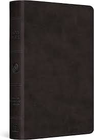 ESV LARGE PRINT BIBLE BLACK IMITAITON