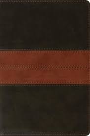 ESV PERSONAL REFERENCE BIBLE BROWN TAN