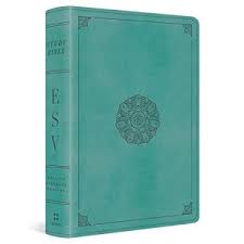 ESV STUDY BIBLE PERSONAL SIZE TURQUOISE