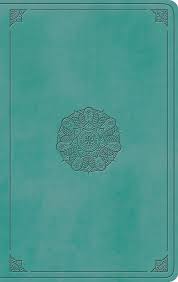 ESV LARGE PRINT VALUE THINLINE BIBLE TURQUOISE