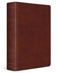 ESV STUDY BIBLE CHESTNUT 