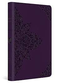 ESV LARGE PRINT VALUE THINLINE BIBLE LAVENDER