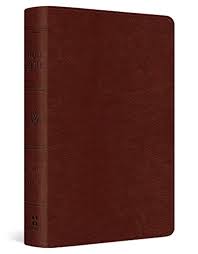 ESV POCKET BIBLE CHESTNUT 